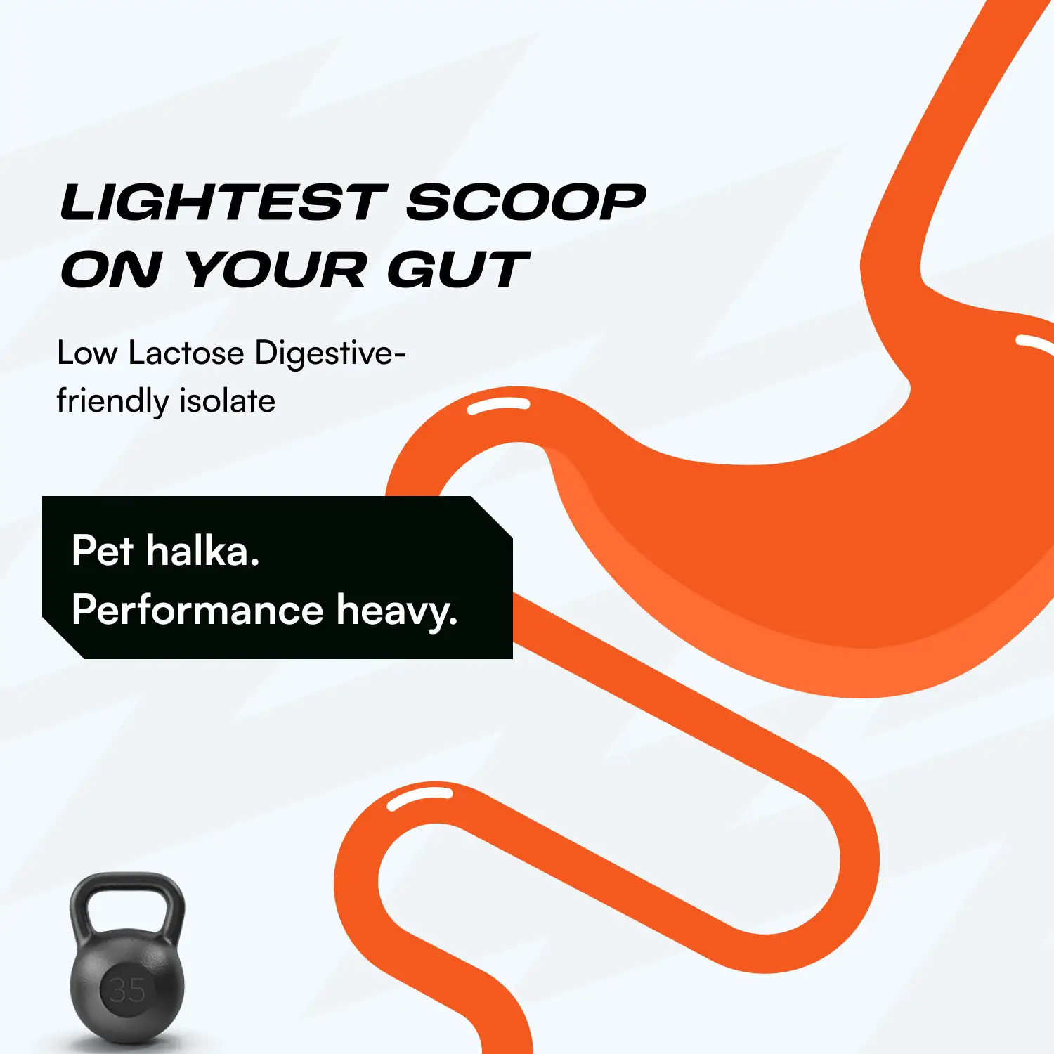 Bal Bharat Whey Protein 100% Isolate - Image 6
