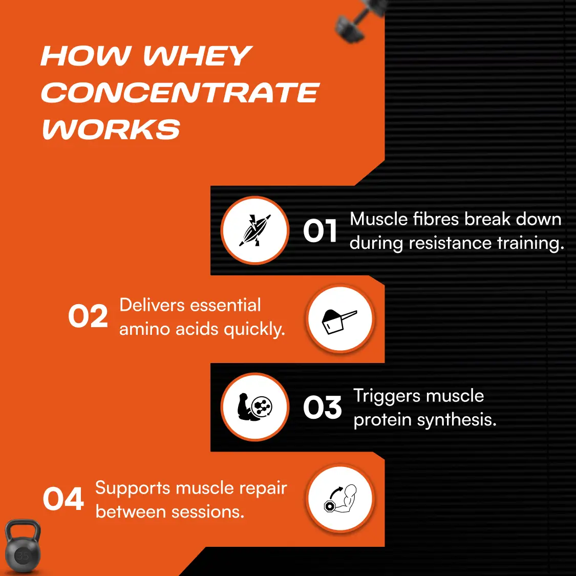 Bal Bharat Whey Protein Concentrate - Image 5